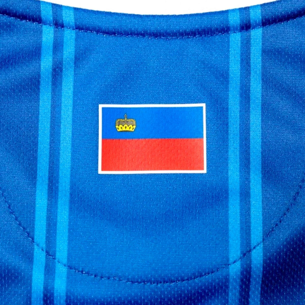 Liechtenstein national team Home Soccer jersey 2024/25 - Errea